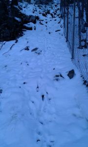 10953387_407764056052467_3360157072143941555_n