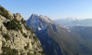 10987381_407764216052451_2141582764596510247_n