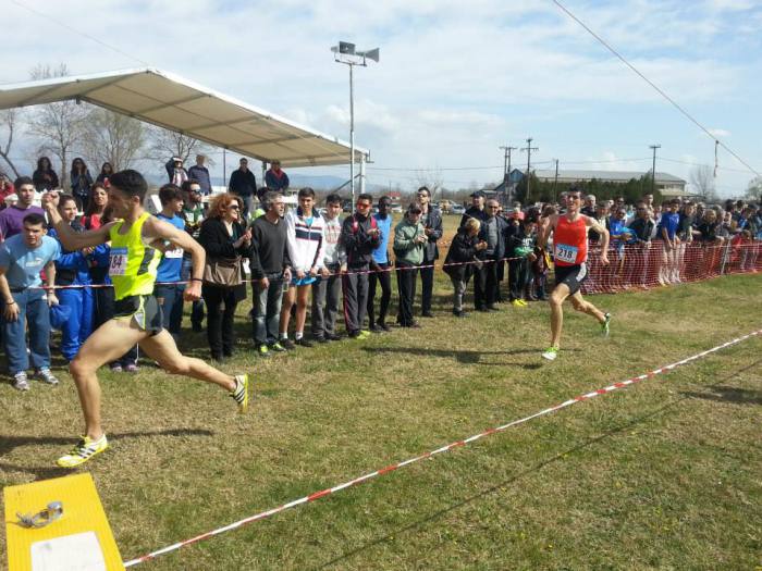 1891208_873172399376423_827959139_n