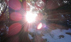 934868_407764139385792_6583255471745820956_n