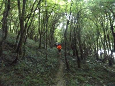 11745766_1634792866804517_8518243257621658102_n