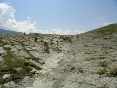 11800244_1634796950137442_994779088863196086_n