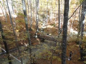 12112242_1667154696901667_3797960294633982413_n