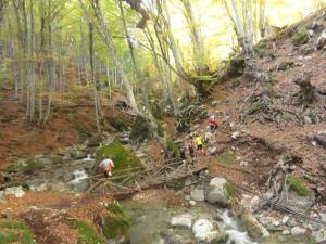 12191525_1667154000235070_4901464359466506398_n