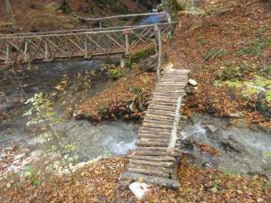 12191821_1667154483568355_510492191774453202_n