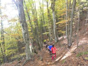 1979589_1667153663568437_8925451505492825654_n